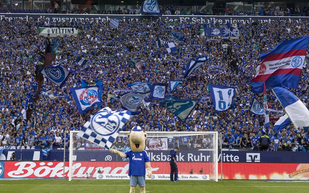 Schalke04 Erwin